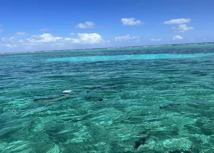 White Sands Cove L02-gardenview 1 Bedroom By Floreo 4* San Pedro (Ambergris Caye)