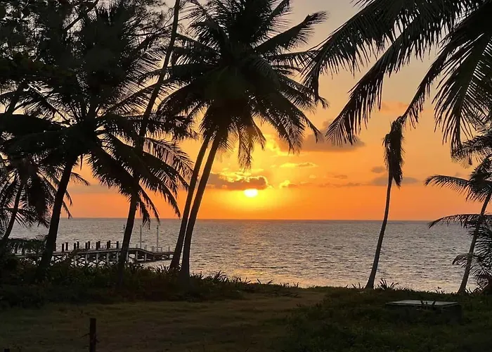 White Sands Cove L02-gardenview 1 Bedroom By Floreo San Pedro (Ambergris Caye)