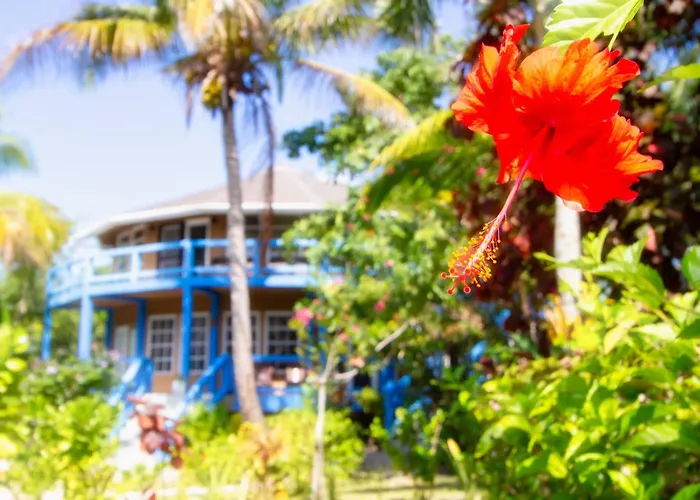 White Sands Cove L02-gardenview 1 Bedroom By Floreo Aparthotel San Pedro (Ambergris Caye)